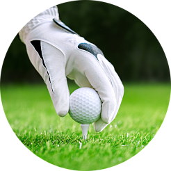 golf club golf club